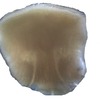 image of tongue